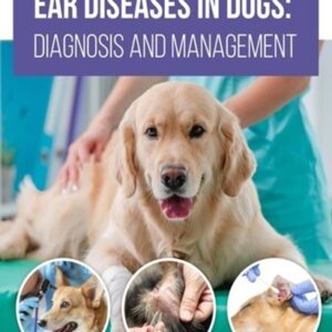Common Ear Diseases in Dogs: Diagnosis and Management