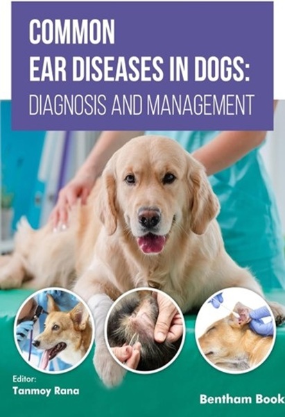 Common Ear Diseases in Dogs: Diagnosis and Management