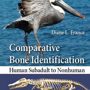 Comparative Bone Identification: Human Subadult to Nonhuman