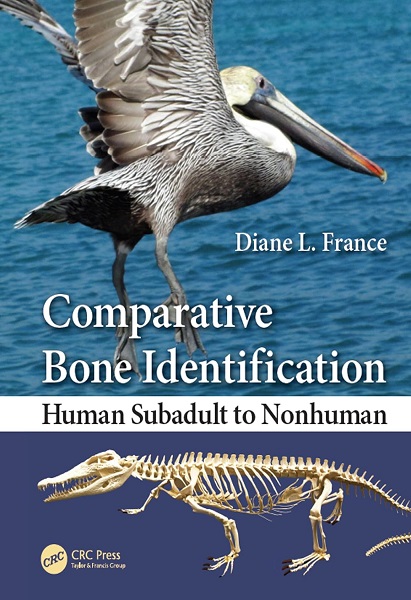 Comparative Bone Identification: Human Subadult to Nonhuman