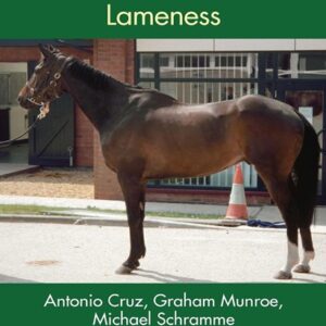 Concise Textbook of Equine Clinical Practice Book 1: Lameness