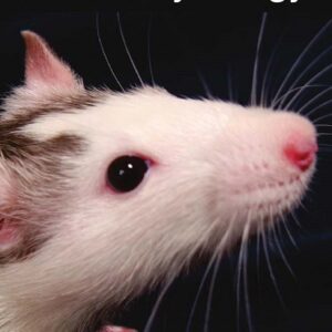Current Research in Animal Physiology