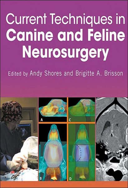 Current Technniques in Canine and Feline Neurosurgery
