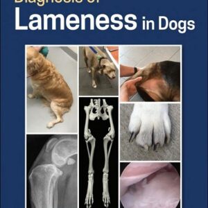 Diagnosis of Lameness in Dogs