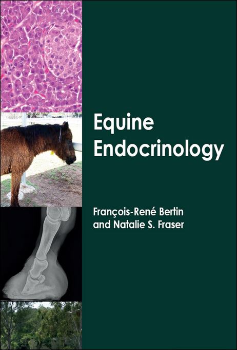 Equine Endocrinology