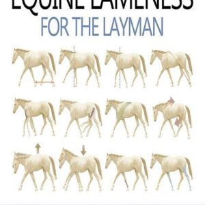 Equine Lameness for the Layman: Tools for Prompt Recognition, Accurate Assessment, and Proactive Management