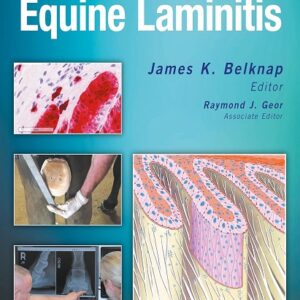 Equine Laminitis