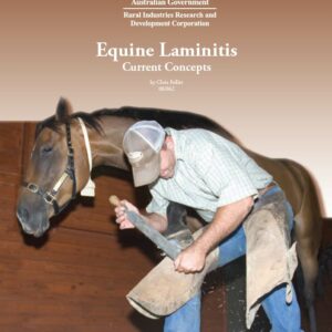 Equine Laminitis: Current Concepts