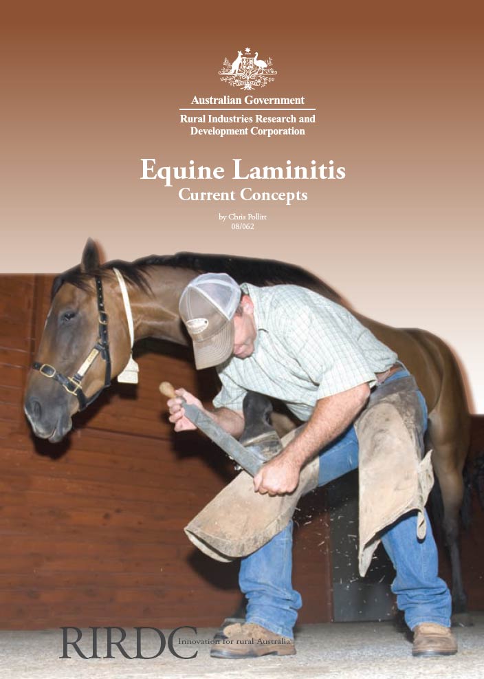 Equine Laminitis: Current Concepts