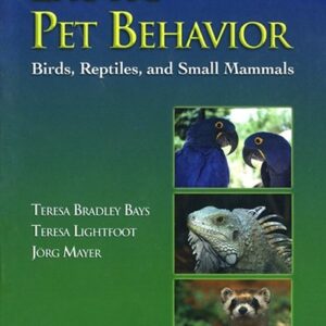 Exotic Pet Behavior: Birds, Reptiles, and Small Mammals