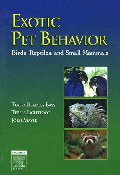 Exotic Pet Behavior: Birds, Reptiles, and Small Mammals
