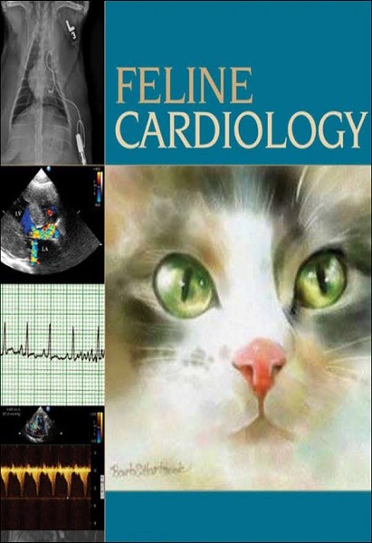 Feline Cardiology