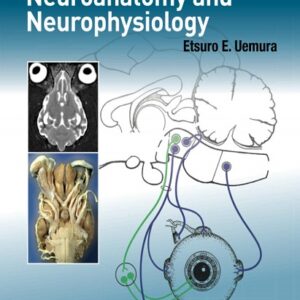 Fundamentals of Canine Neuroanatomy and Neurophysiology