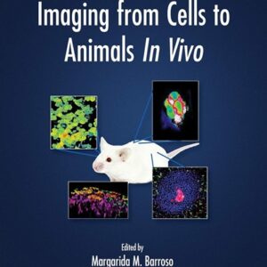 Imaging from Cells to Animals In Vivo