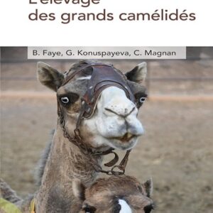 L'élevage des grands camélidés
