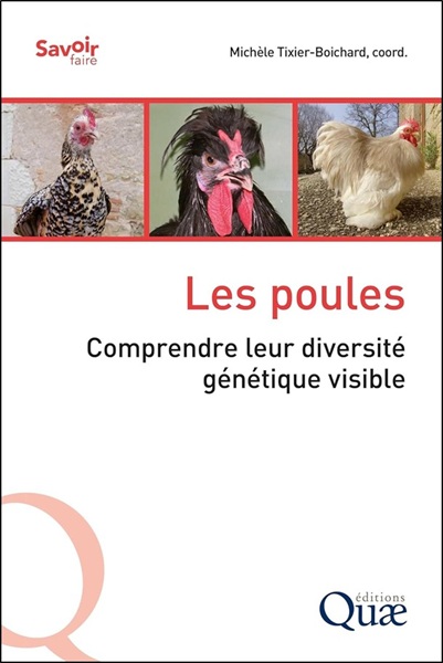 Chickens: Understanding Their Visible Genetic Diversity
