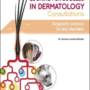 Looking for Success in Dermatology Consultations: Diagnostic Protocol for Skin Disorders