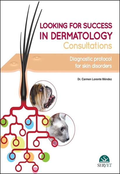 Looking for Success in Dermatology Consultations: Diagnostic Protocol for Skin Disorders