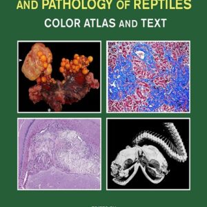 Noninfectious Diseases and Pathology of Reptiles: Color Atlas and Text