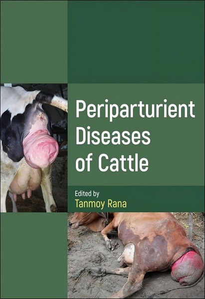 Periparturient Diseases of Cattle