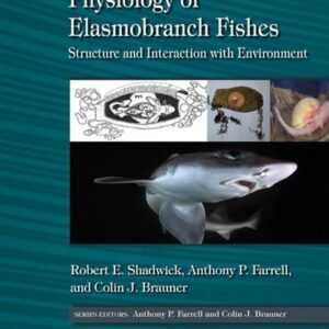 Physiology of Elasmobranch Fishes: Internal Processes