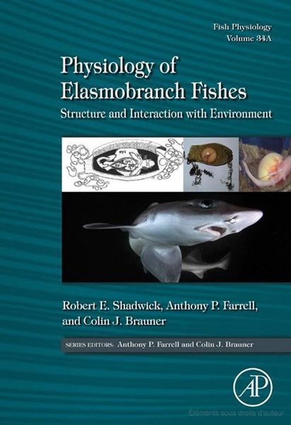 Physiology of Elasmobranch Fishes: Internal Processes