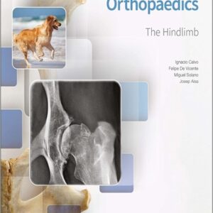 Small Animal Orthopaedics: The Hindlimb