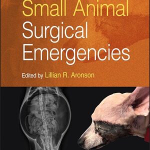 Small Animal Surgical Emergencies, 2nd Edition