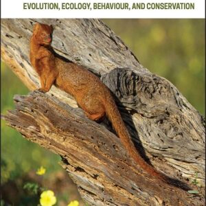 Small Carnivores: Evolution, Ecology, Behaviour, and Conservation