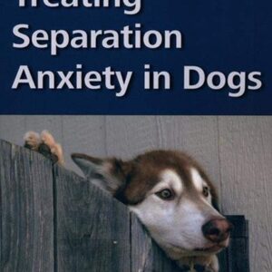Treating Separation Anxiety in Dogs