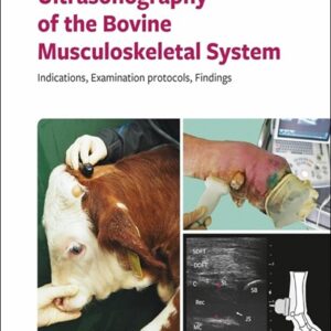 Ultrasonography of the Bovine Musculoskeletal System