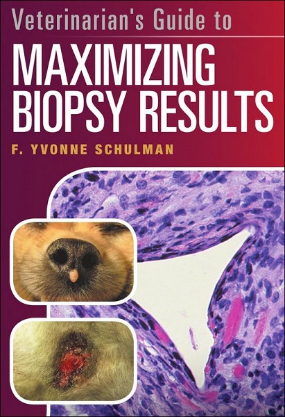 Veterinarian’s Guide to Maximizing Biopsy Results