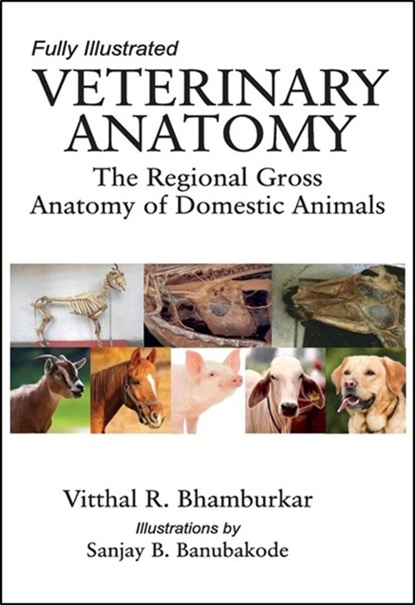 Veterinary Anatomy: The Regional Gross Anatomy of Domestic Animals