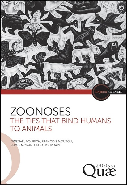 Chickens: Understanding Their Visible Genetic Diversity